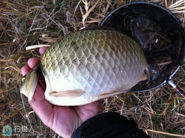 浅析冬季钓鱼钓深还是钓浅问题