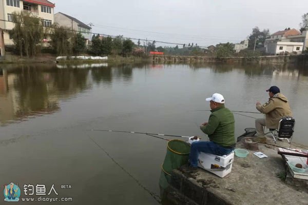 适于寒冬垂钓的鱼种分析