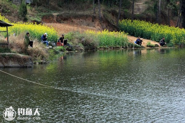 野钓高手解答春季对象鱼之垂钓技巧