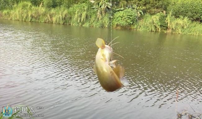 夏末初秋该如何应对水温变化而提高渔获