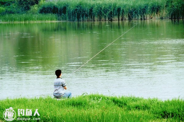 盛夏钓鱼的时机和钓点选择