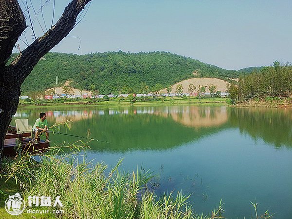 夏季午时钓鱼难的原因与垂钓技巧