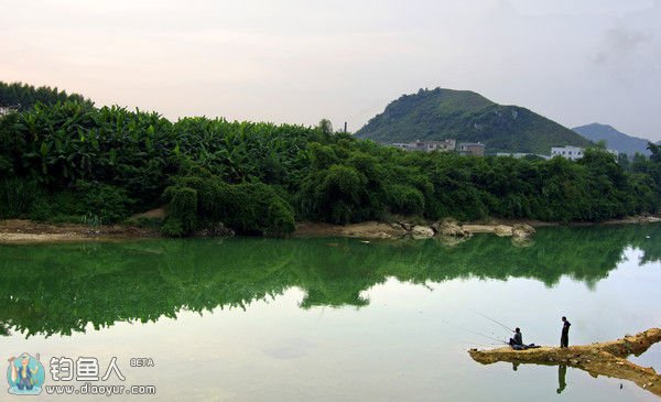 夏季钓鱼要先了解鱼的趋氧性