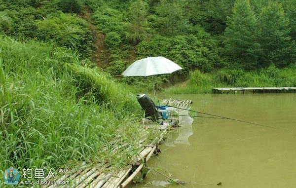 夏季钓浅滩的四个先决条件