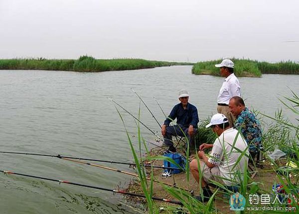 夏季钓鱼应根据鱼情改变钓时和钓点方可