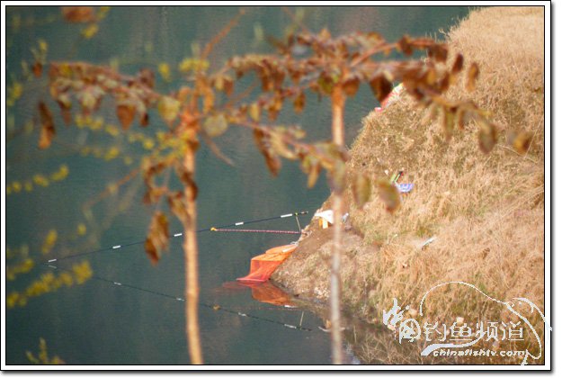 春钓蒙湖鲫双飞[我要去追风]