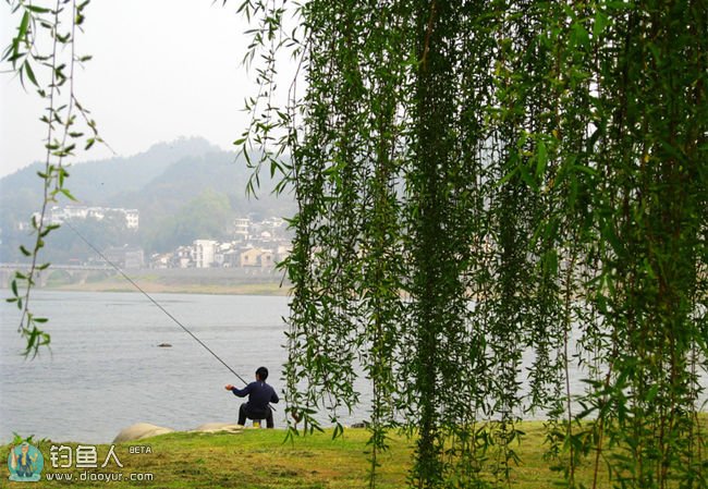 盛夏钓鱼技巧（钓位、时机、天气、饵料）