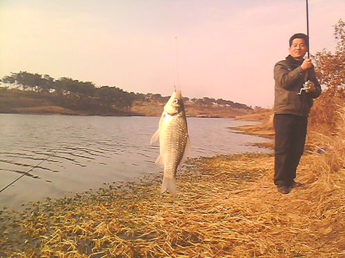 钓友分享冬季钓鱼打窝技巧详解