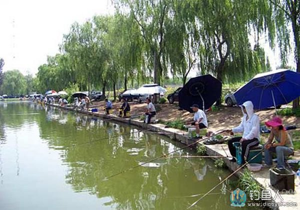 夏季钓鱼时应该注意水情，夏季钓鱼技巧