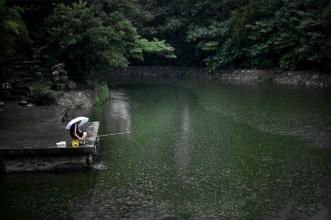 夏季大雨过后的钓鱼技巧（选点、钓技）