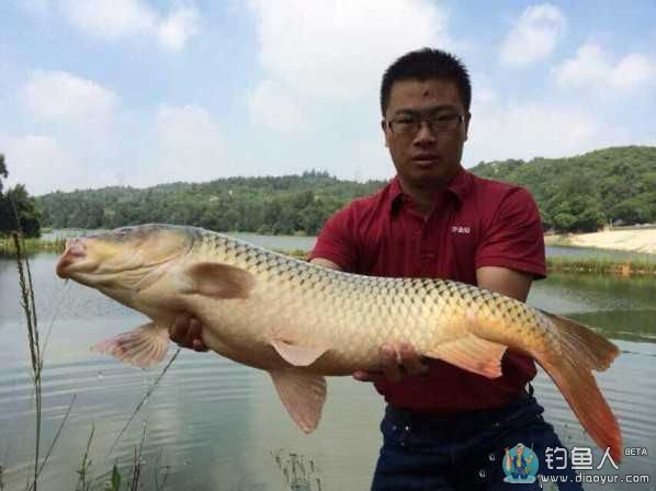 夏季在浑水钓鲤鱼的一些方法