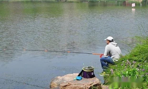 春天钓鱼有4个“坑”，10人有9人“踩”，现在知道还不晚