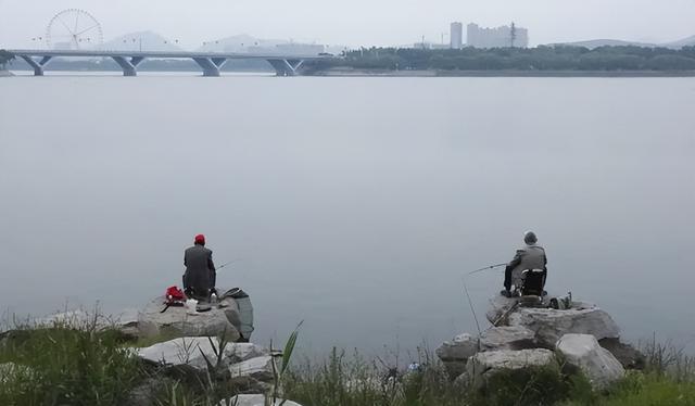 水底有暗草怎么钓鱼？分享3种方法来应对，保证你能顺利垂钓