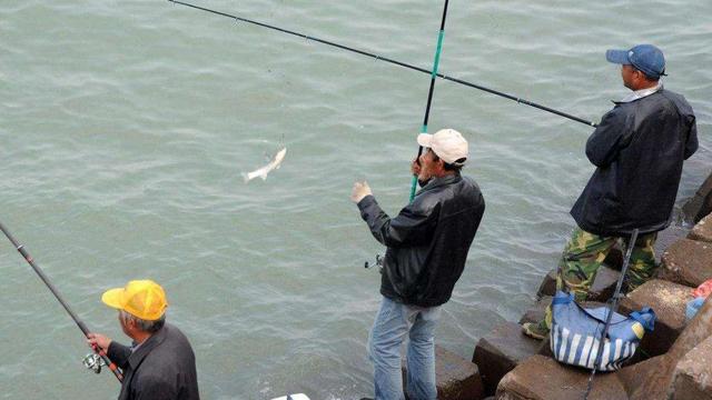 老者用这款“神饵”在七里河钓鱼，让他成为整条河最靓的“仔”