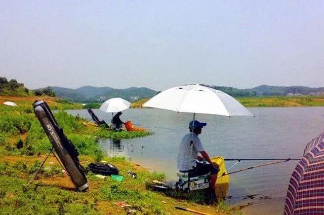 钓瘾难耐时，去玩野钓还是去玩黑坑？我来告诉你怎么选择