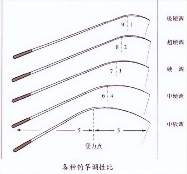 钓竿的参数具体是怎么设定的？它们分别适合用于什么场合？