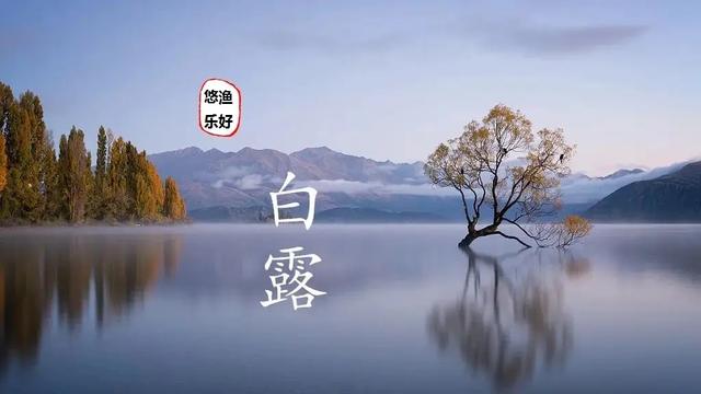 白露前后水域出现“翻底”，不利于钓鱼，遇到这种情况咋办？