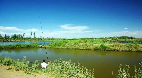 知道这7钓8不钓，面对肥水池塘，你就是令人羡慕的垂钓高手