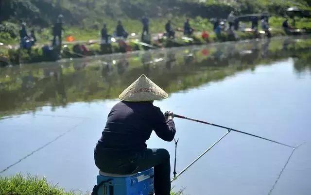 如何把握提竿的时机？注意这4点，差不多就能竿竿不“空枪”