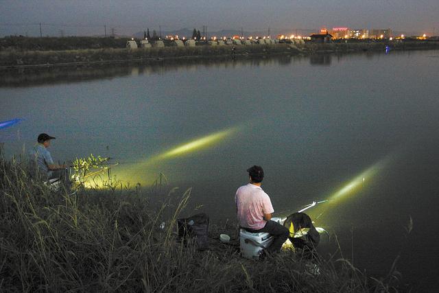 夜钓一整晚没钓住几条鱼，用上这四个小技巧，很可能鱼获翻番