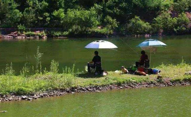 夏季野钓用多大钓钩？老问题新见解，带给你不一样的认知