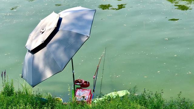 钓草鱼并非就得钓浮，这3种情况钓底效果更好，实战经验分享