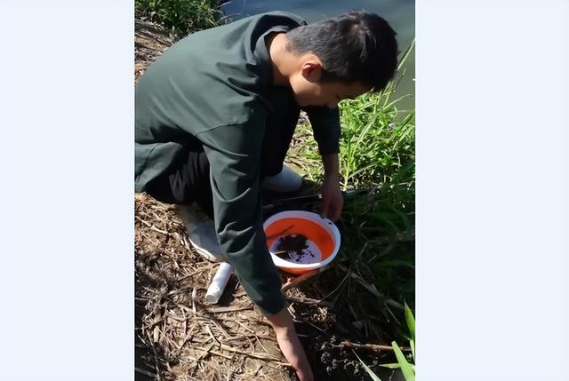 泥巴里加点小药做饵，钓鱼狂口，这种小药的效果是真是假？