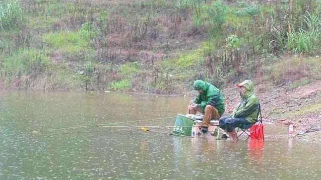 春雨天真的好钓鱼吗？那可不一定，要从这三个方面受的影响看