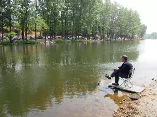 春分到谷雨这段时间，鱼上浮了怎么钓？这两种方法屡试不爽