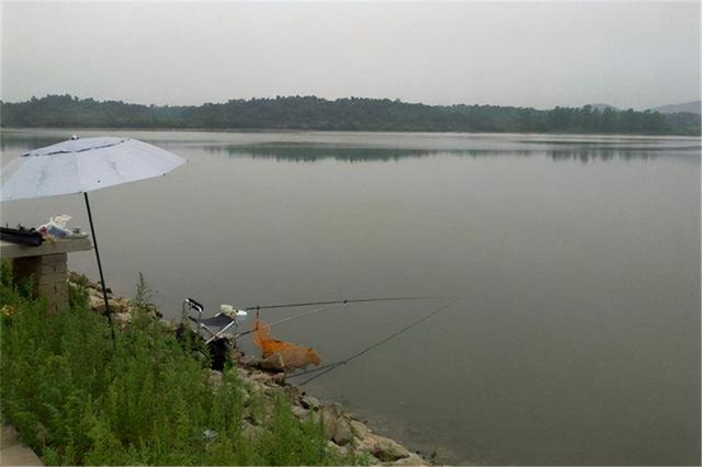 春分到谷雨这段时间，鱼上浮了怎么钓？这两种方法屡试不爽