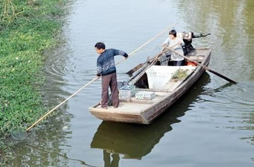 劝君莫钓三月鲫？真正该劝的是那些电鱼人，钓友：钓鱼人背了黑锅