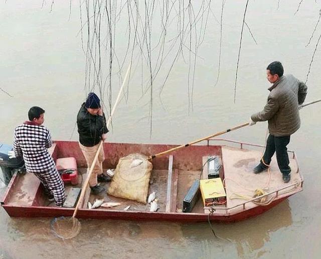 “劝君莫钓三月鲫，万千鱼仔在腹中”，是不是道德绑架钓鱼人？