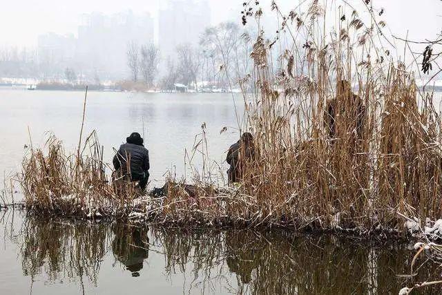 都知道深浅交界处是好钓点，到底钓深还是钓浅？很多钓友不知道