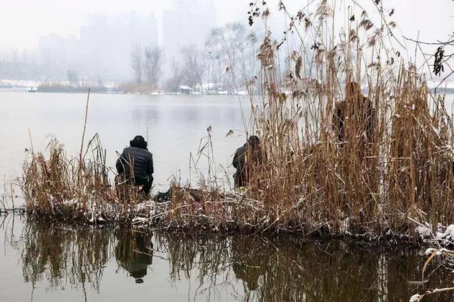 钓鱼不可死等候，东河没鱼西河走，遇到这几种情况要果断换钓位