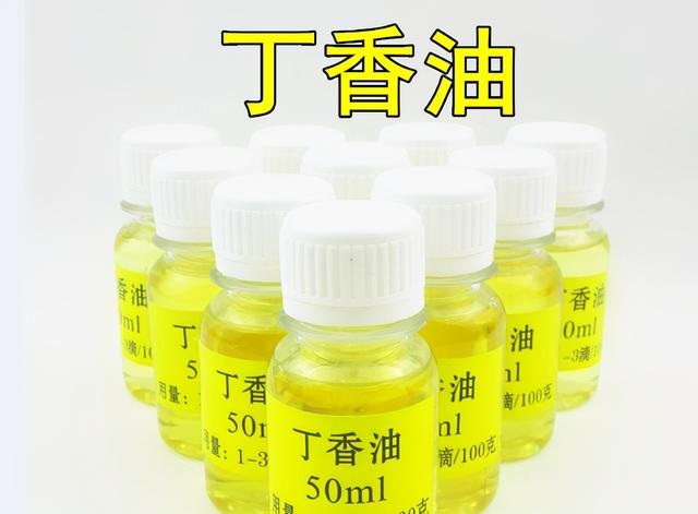 都知道丁香油钓鱼好用，但你知道丁香油的制作和使用方法吗？