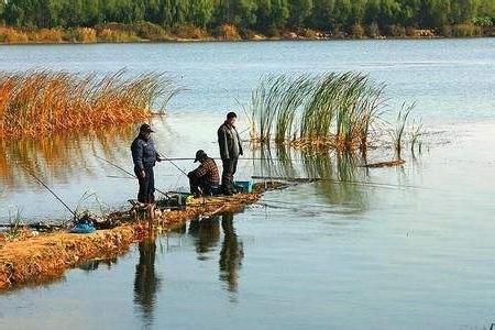 秋季野钓大鱼时，打窝量不做这几种改变，钓鱼很可能变成喂鱼