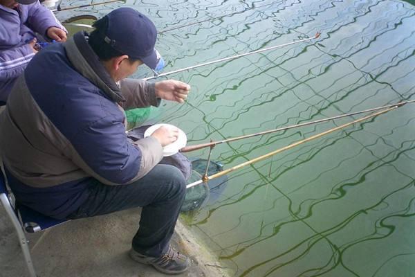 黑坑老板又出新招数，成本低、利润大，钓友们挨坑防不胜防