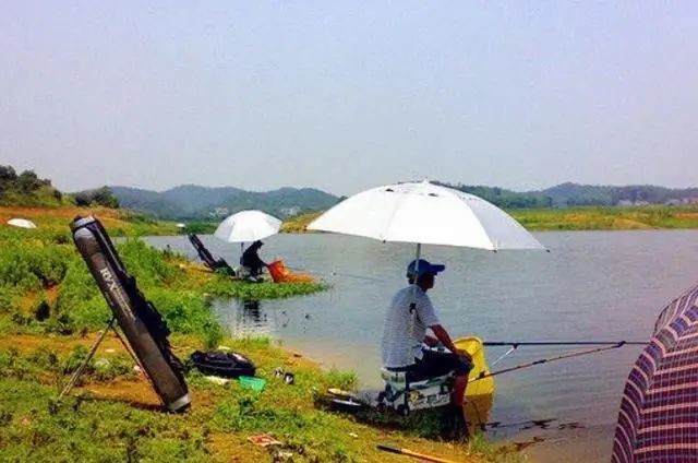 小药不是万能的，没有小药是万万不能的，野钓时需要加小药吗？