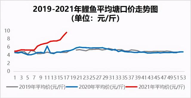 淡水鱼价格持续变动，钓友们的钓鱼成本也会随之变动吗？