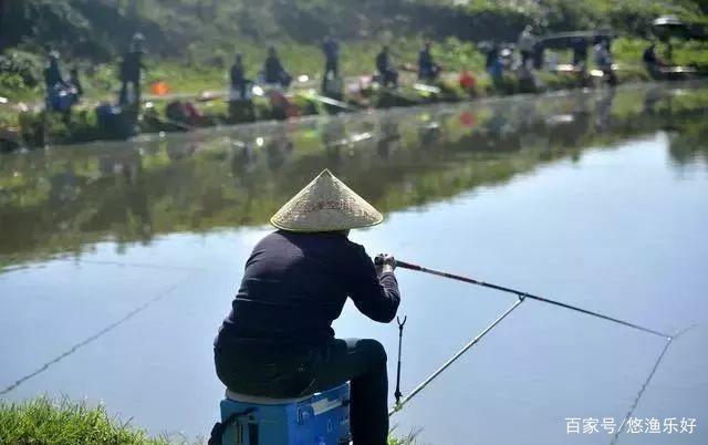 钓友们不要再刻意追求调几钓几了，不仅是不习惯，更是影响渔获