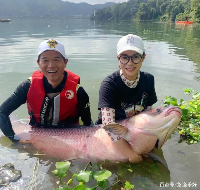 对大师按剧本钓鱼的深度解读，如果你认真那就大错特错了