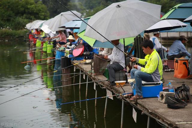 全国总共有多少钓鱼人？说出答案，一定与你想象的不一样