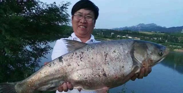 夏季鲢鳙怎么钓？掌握鱼情、水情、钓深、钓浅等