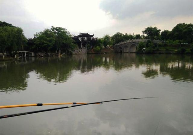 春季钓不好鲫鱼，不是水里没鱼和饵料不对，真相是这