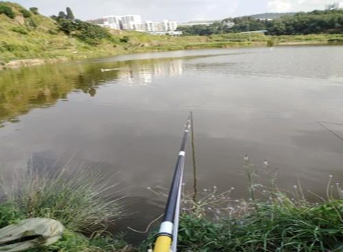 初秋野钓总空军怎么办？钓友们从这三点做起