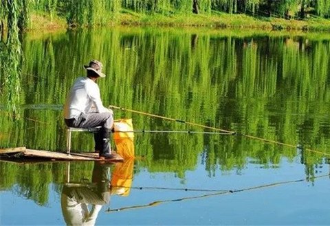 夏季钓鱼5钓5不钓