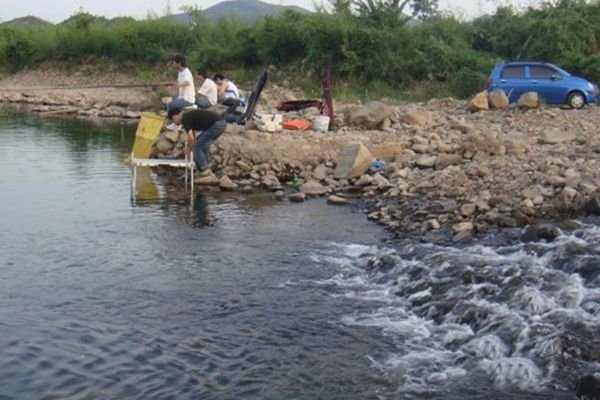 夏季钓鱼5钓5不钓