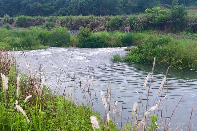 野河钓鲫鱼遇流水，教你一招，既能防走漂又能及时看到鱼吃口