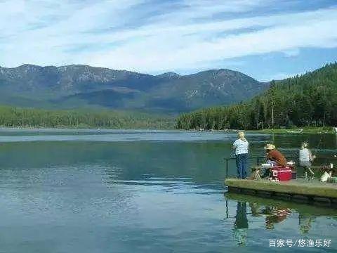 钓鱼“空军”的最普遍原因找到了，原来窝点根本就没有鱼