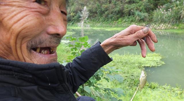 鲫鱼漂相形成的原因，以及提竿空竿的原因